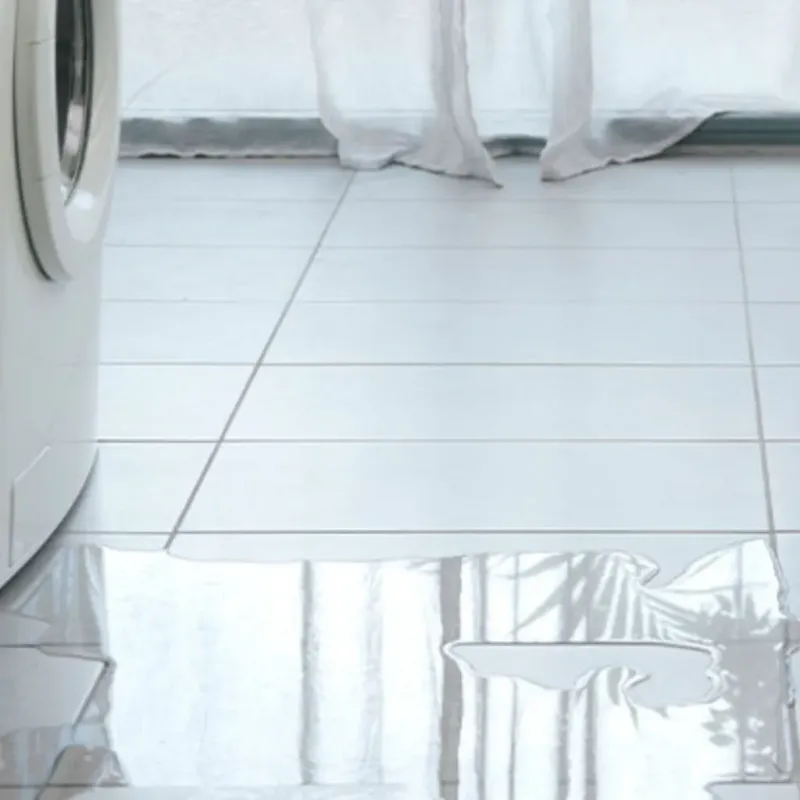 Appliance Leak Cleanup in Bylas, AZ