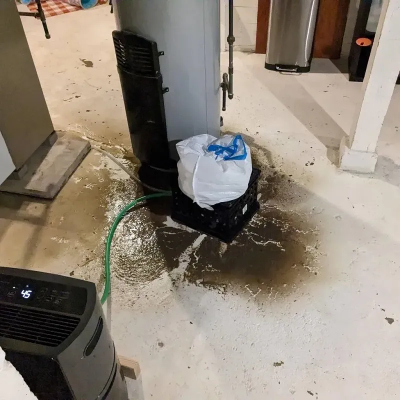 Sewage Backup Cleanup Service in Bylas, AZ